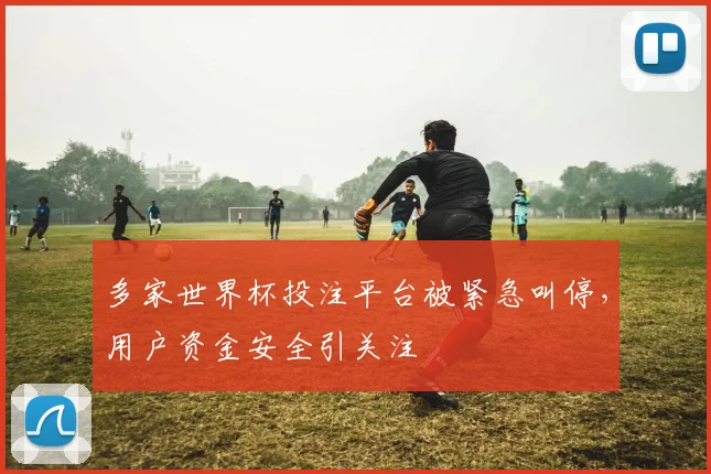 多家世界杯投注平台被紧急叫停，用户资金安全引关注
