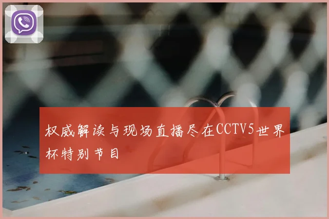 权威解读与现场直播尽在CCTV5世界杯特别节目