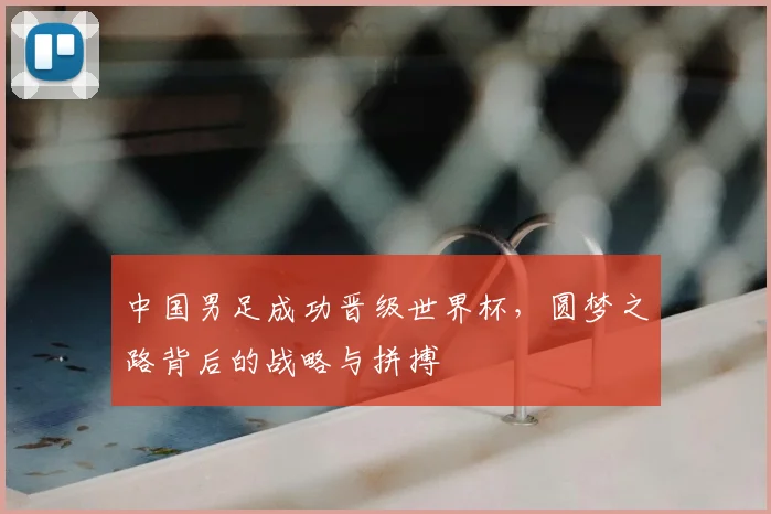 中国男足成功晋级世界杯，圆梦之路背后的战略与拼搏