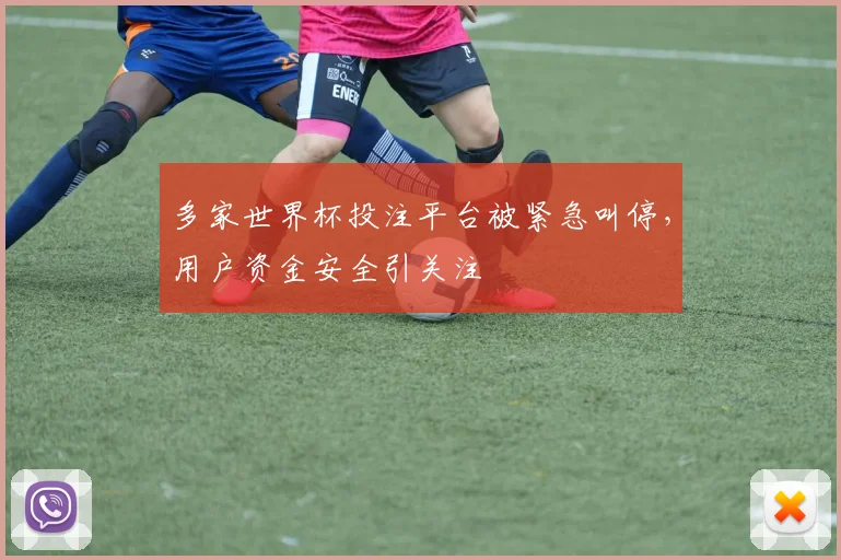 多家世界杯投注平台被紧急叫停，用户资金安全引关注