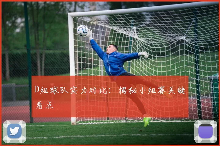 D组球队实力对比：揭秘小组赛关键看点