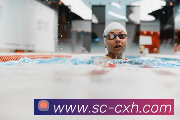 beat365在线登录vip入口发展历程